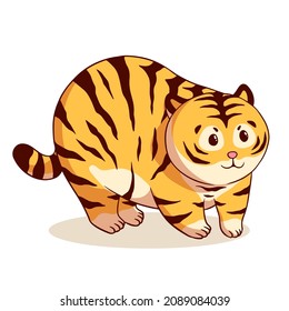 Cute chubby tiger vector illustration. symbol of new 2022 year on white background