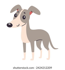 Lindo perro Chuhuahua. Ilustración vectorial plana en estilo infantil