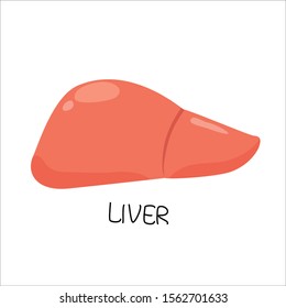 Cute chuman organ, liver .Vector illustration. 
