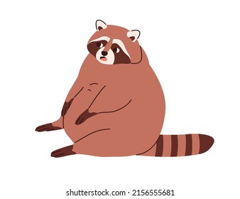 Cute chunky raccoon with fat full belly, sitting in funny pose. Lazy chubby racoon. Amusing sweet animal relaxing. Fatty stout character. Flat vector illustration isolated on white background