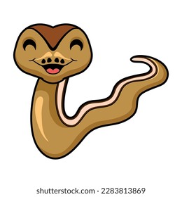 Cute cinnamon super stripe cartoon