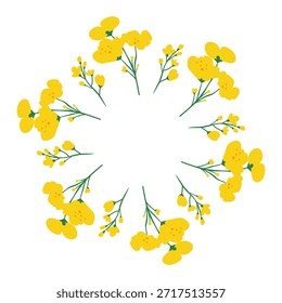 Quadro de círculo bonito com flores de colza desenhadas à mão isoladas no fundo branco.