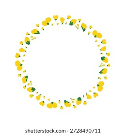 Lindo marco de círculo con flores de colza de canola dibujadas a mano aisladas sobre fondo blanco.