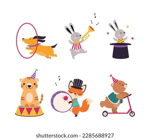 Cute Circus Animal Characters Tame Artist Performing Trick Vector Set