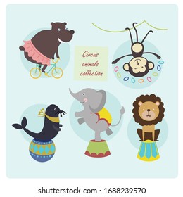 cute circus animals collection. vector illustration