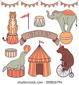 Conjunto de animales de circo: tigre, elefante, foca, oso