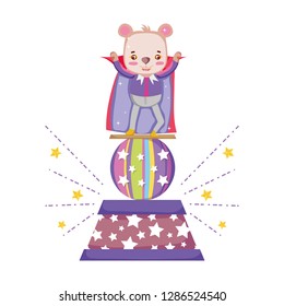 cute circus bear with layer in stage