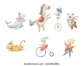 Cute circus cartoon vector illustration, animals set. Illustrations on a posters and banners for a circus shows, animal, characters, magician,  juggling,  and circus motives. Childish illustration
