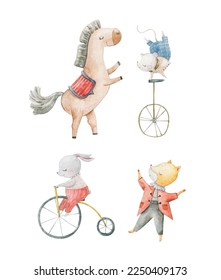 Cute circus cartoon vector illustration, animals set. Illustrations on a posters and banners for a circus shows, animal, characters, magician,  juggling,  and circus motives. Childish illustration
