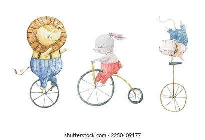 Cute circus cartoon vector illustration, animals set. Illustrations on a posters and banners for a circus shows, animal, characters, magician,  juggling,  and circus motives. Childish illustration
