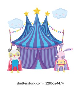 cute circus cat and rabbit in tent