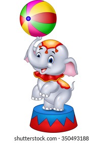 Cute Circus elephant with a striped ball stands on a podium