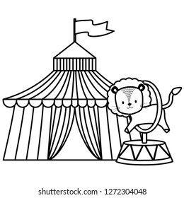 cute circus lion jumping ring in tent