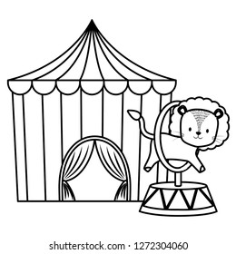 cute circus lion jumping ring in tent