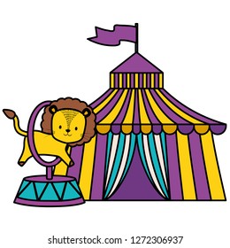 cute circus lion jumping ring in tent