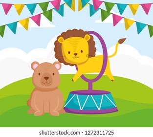 cute circus lion jumping ring