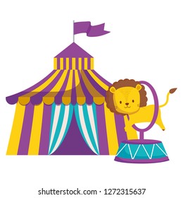 cute circus lion jumping ring in tent