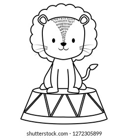cute circus lion in stage