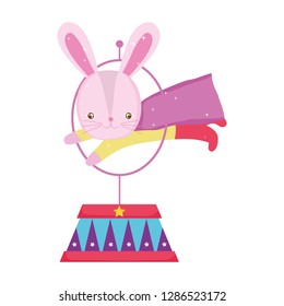 cute circus rabbit jumping fire ring