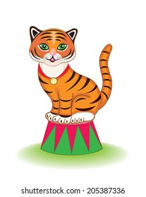 cute circus tiger (vector illustration for children's books)