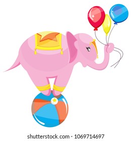 Cute cirrus pink elephant stands on blue-orange ball with yellow blue and red balls in the trunk. Different gold ornaments on  back of head, legs. Modern vector flat image isolated on white background