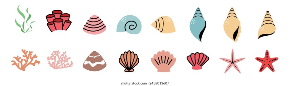 cute clam and sea shell beach animal starfish and coral reef