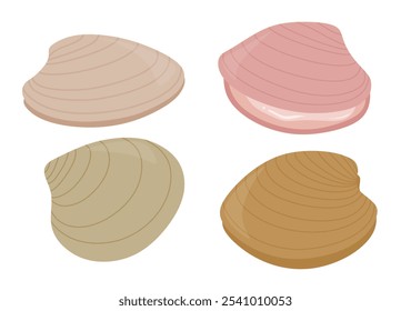 Amêijoas bonitas definir estilo de desenho animado bonito. Coleção de conchas no fundo branco.