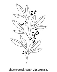 cute classical branch over white