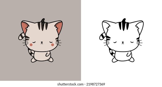 Cute Clipart American Shorthair Cat Illustration and For Coloring Page. Cartoon Clip Art Cat. Vector Illustration of a Kawaii Animal for Stickers, Baby Shower, Coloring Pages, Prints for Clothes.
