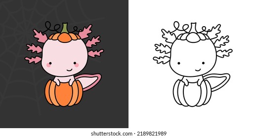 Cute Clip Art Halloween Axolotl Illustration und für die Färbung Seite. Cartoon Clip Art Halloween Tier. Cute Vektor Illustration von Kawaii Halloween-Tieren innerhalb eines Kürbiss.
