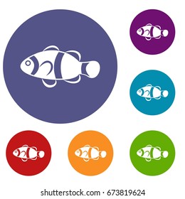 Cute Clown Fish Icons Set In Flat Circle Reb, Blue And Green Color For Web