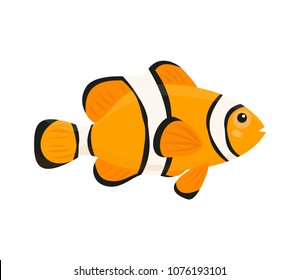 Cute Clown Fish On White Background. Vector Illustration.