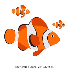 Cute clown fish.  Reef fish swimming in tropical reef.  Cartoon vector isolated on white background