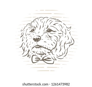 Cute cockapoo dog puppy with bow-tie vector illustration on white background.