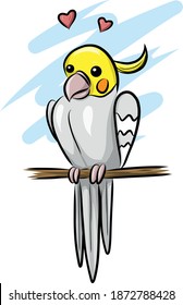 cute cockatiel bird - isolated illustration