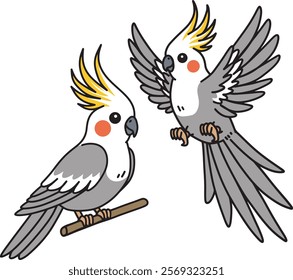 
Cute cockatiel cartoon illustration design art which can be used for your stuff