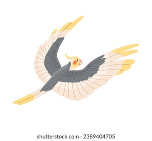 Cute cockatiel fliegen. Australischer Papagei mit geflecktem gelbem Kreide breitete Flügel. Corella, Quarrion, Wehr fliegen. Farbiger Vogel, exotisches Haustier. Flache einzelne Vektorgrafik auf weißem Hintergrund