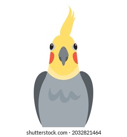 Cute cockatiel parrot front view icon vector. Funny cockatiel parrot icon isolated on a white background. Pet bird head vector