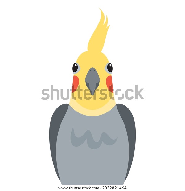 Cute Cockatiel Parrot Front View Icon Stock Vector (Royalty Free ...