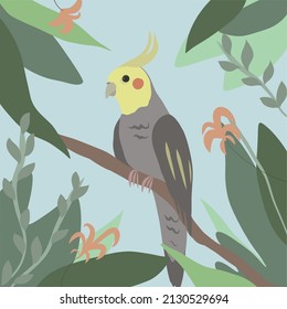 Cute cockatiel parrot  in nature