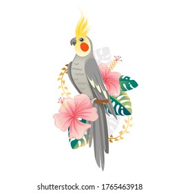 Cute cockatiel parrot sit with green leaves and pink flower.  Cartoon animal design flat vector illustration isolated on white background