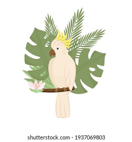 Cute Cockatoo with  palm and monstera leaves, exotic flower. Exotic bird, Tropical parrot. Trendy Cartoon Vector illustration. Isolated on white. Good for web and print