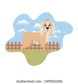 cute cocker spaniel ingles dog with background landscape