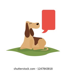 cute cocker spaniel with speech bubble