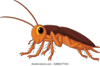 Cute cockroach cartoon on white background