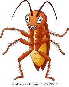 Cute Cockroach isolated on white background