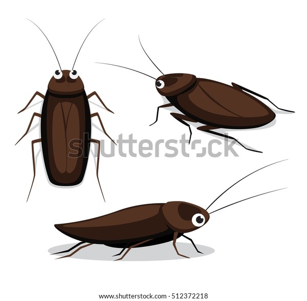 かわいいゴキブリのポーズの漫画のベクターイラスト のベクター画像