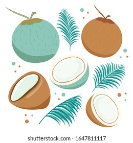 Cute coconut collection with leaf isolated on white background. Vector illustration.