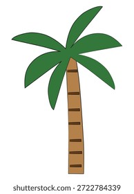 Árbol de coco lindo aislado en un fondo blanco