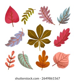 Cute collection of autumn leaves in warm and soft tones. Hand-drawn textured foliage for seasonal decor, stationery, icons, stickers, kids books, or fall-themed designs.